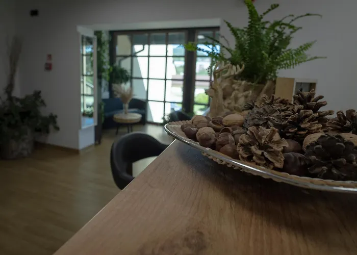 Osrodek Szkoleniowo-wypoczynkowy U Lesnikow * Krynica-Zdrój